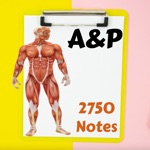 Download Human Anatomy & Physiology A&P app