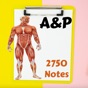 Human Anatomy & Physiology A&P app download