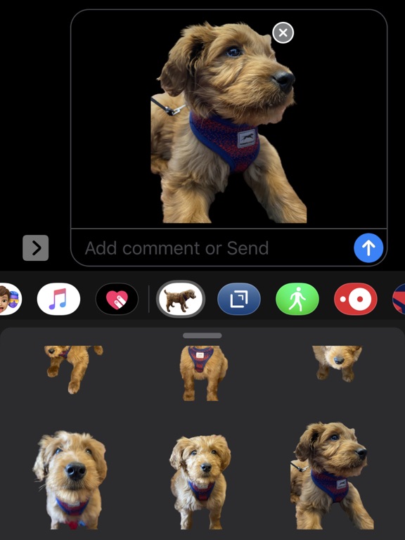 Screenshot #5 pour Pup Named Penny Lane