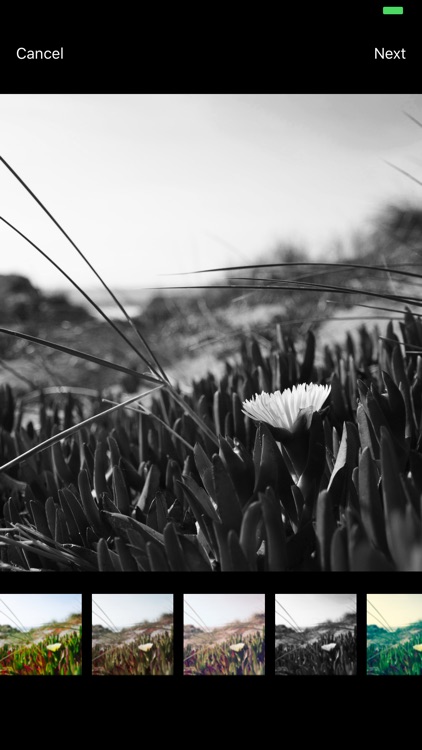 Think Global, Never Local