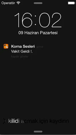 Game screenshot Korna Sesleri hack