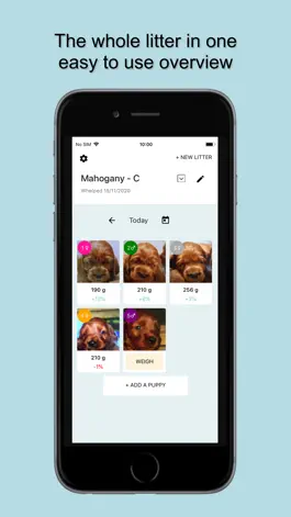 Game screenshot Дневник помета FIDOPOLI mod apk