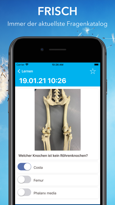 Veterinärmedizin Weiterbildung Screenshot