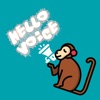 Hello Voice! icon