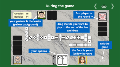 Partnership Dominoes Screenshot