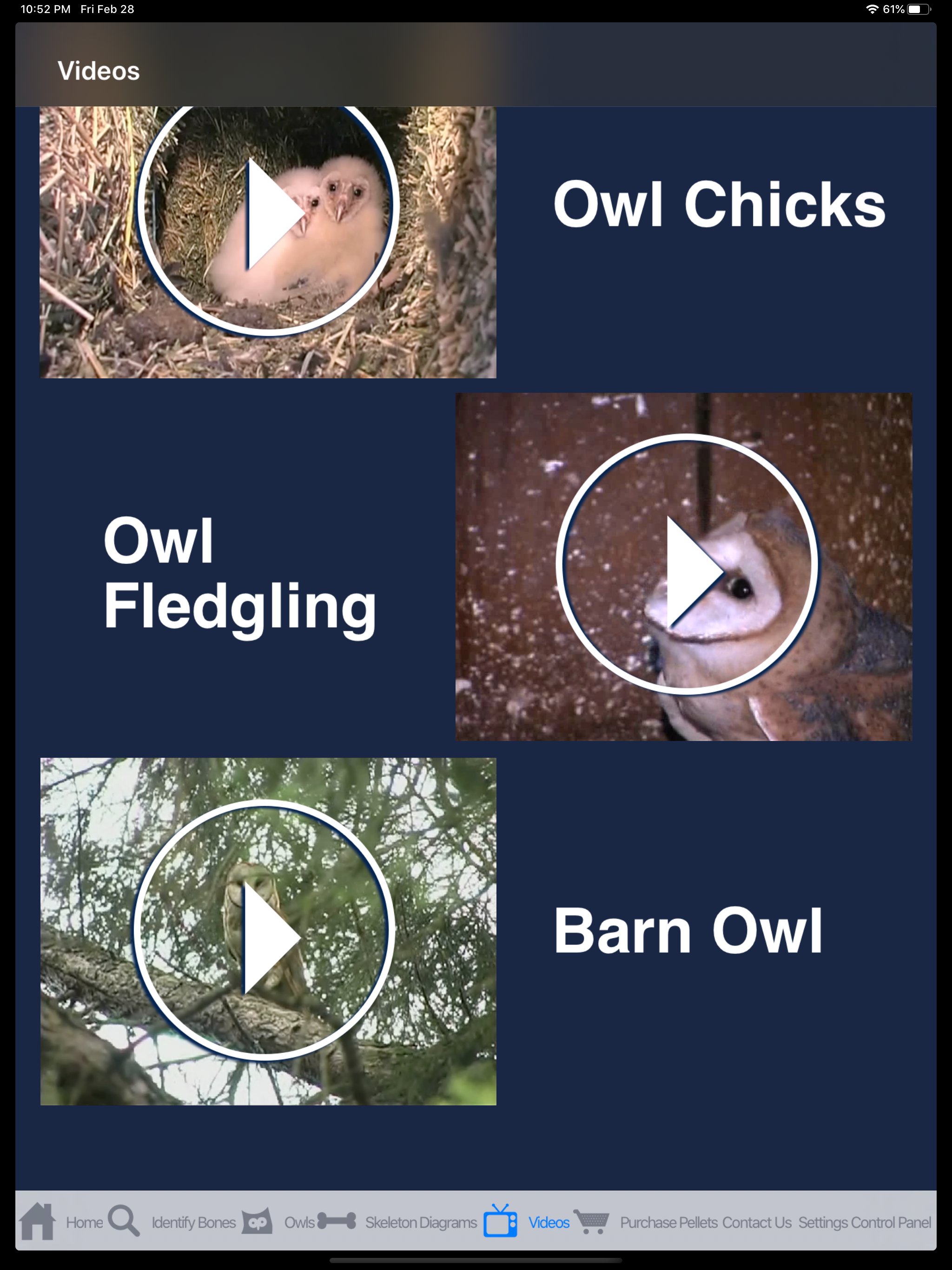 Owl Pellet Activities HD screenshot 2