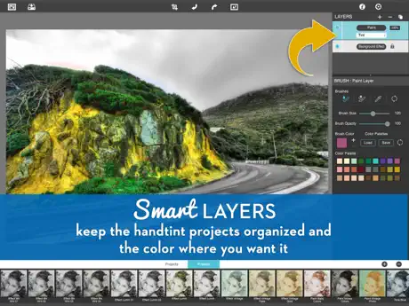 Hand Tint Pro