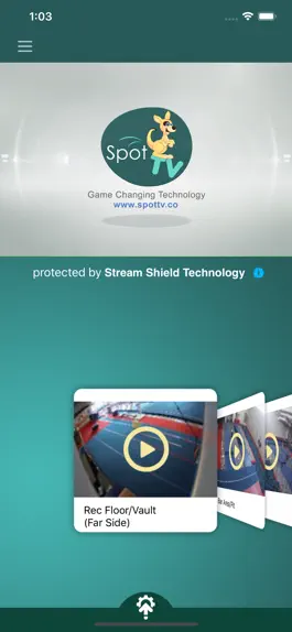 Game screenshot Spot TV Family hack