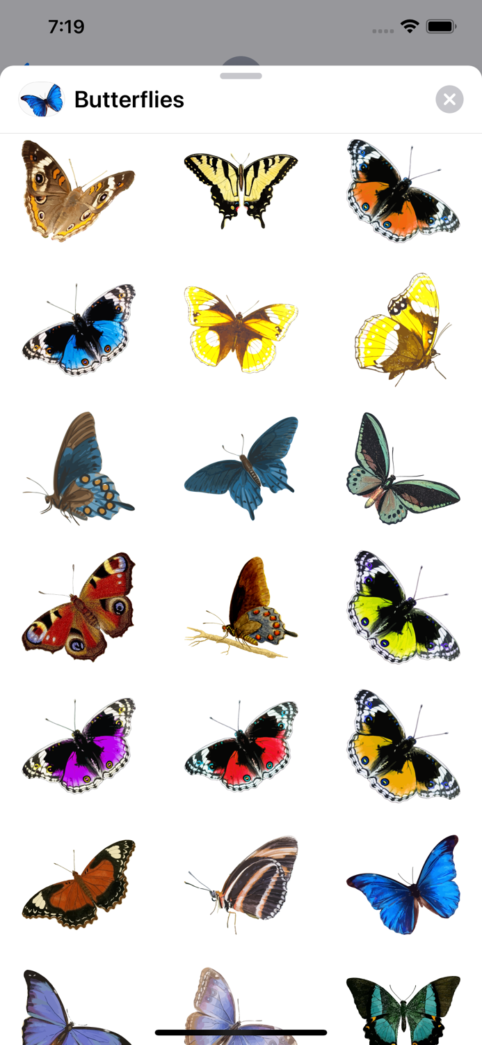 Butterflies. The stickers