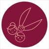 ScissorsCut icon