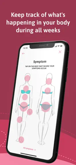 Game screenshot Belly - Your pregnancy app hack