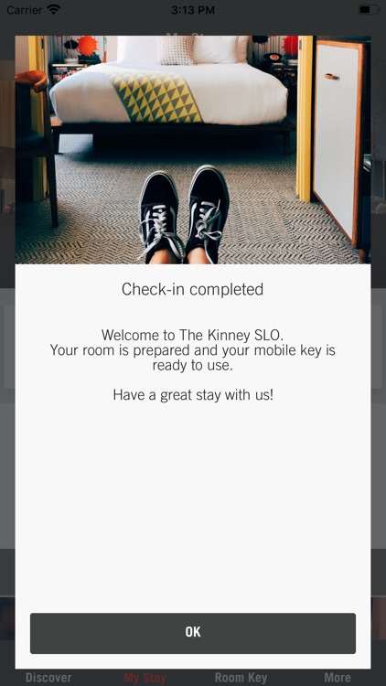 The Kinney screenshot-3