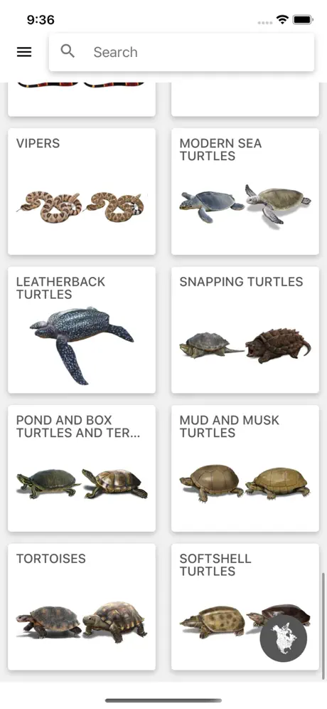 Reptiles & Amphibians of NA