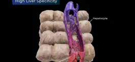 Game screenshot Turning Genes into Medicine apk