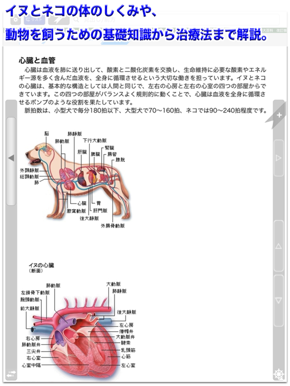 イヌ・ネコ家庭動物の医学大百科 改訂版のおすすめ画像4