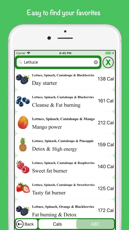 Personal Smoothie Chef Vegan