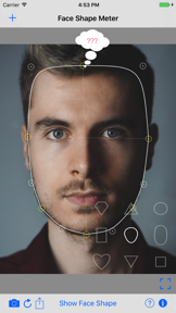 Face Shape Meter camera tool screenshot