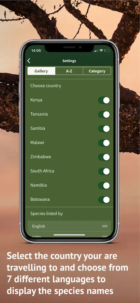 The Golden Safari Guide