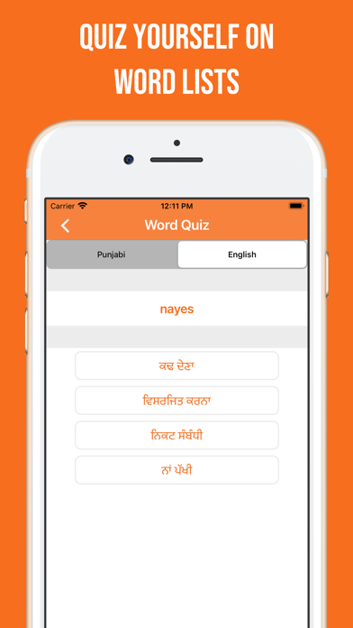 Punjabi and English Dictionary Screenshot