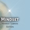 Infinite Abundance Mindset icon