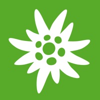 DAV Panorama messages.notwork