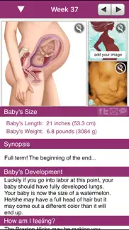 ipregnant lite iphone resimleri 2