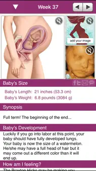 IPregnant Lite iphone bilder 1