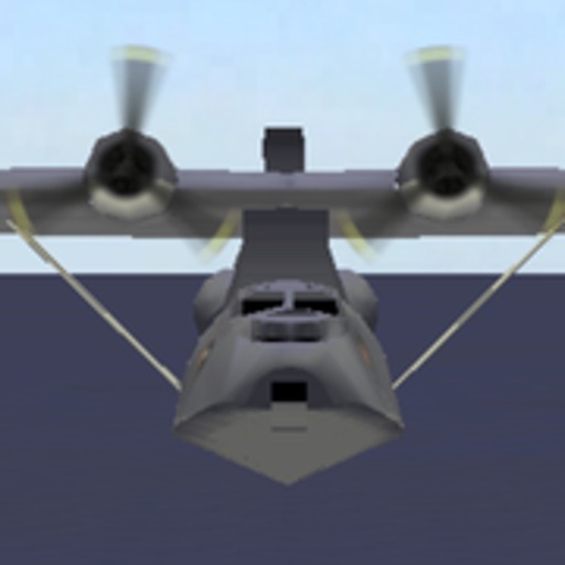 PBY 3D Seaplane Combat in WWII