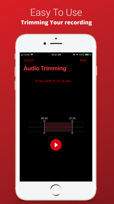 Recorder Plus : Voice Recorder Screenshot