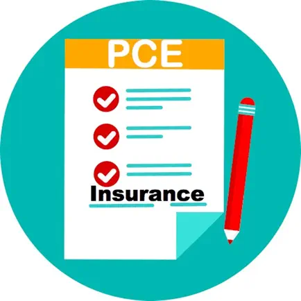 PCE and CEILLI Exam Malaysia Cheats