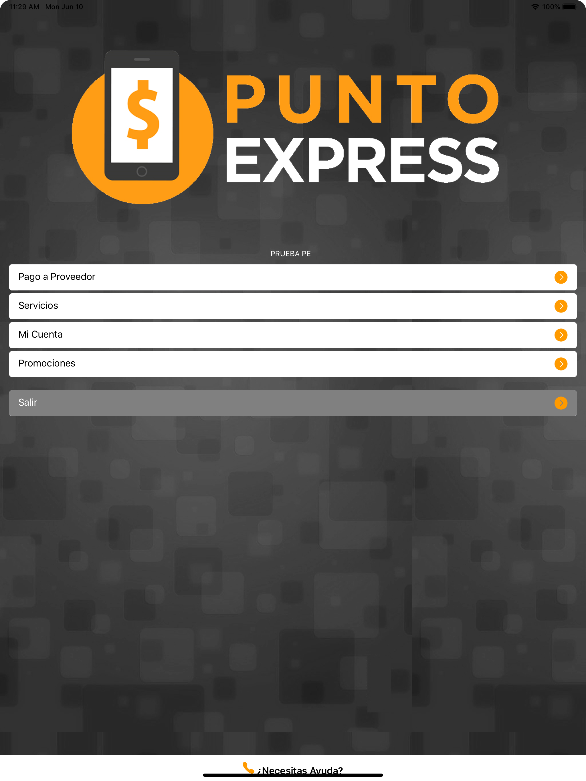 PuntoExpress
