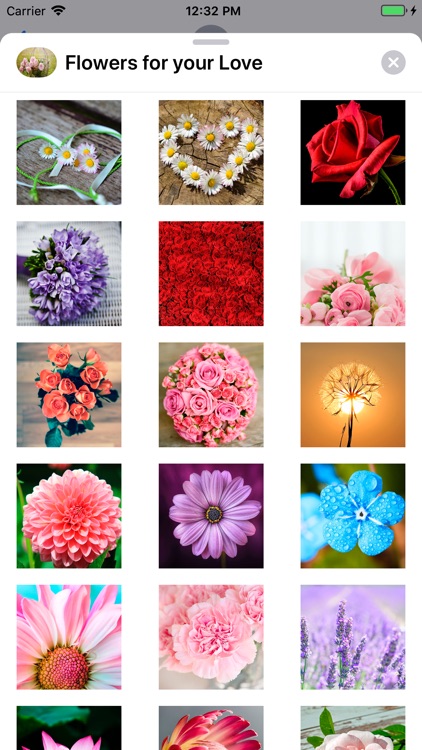 Flowers for your love