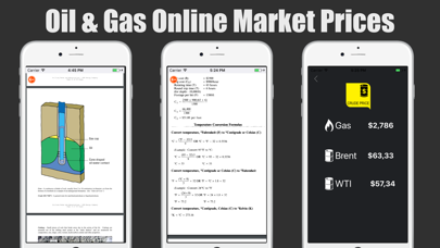 Oil & Gas Books Screenshot