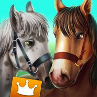 Horse Hotel Premium