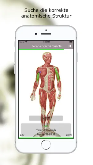 Screenshot von Anatomie Quiz Lite auf dem iPhone 2
