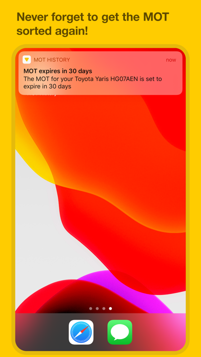 Screenshot #3 pour MOT Reminders & MOT History UK