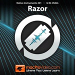 Download Working with Razor Course app