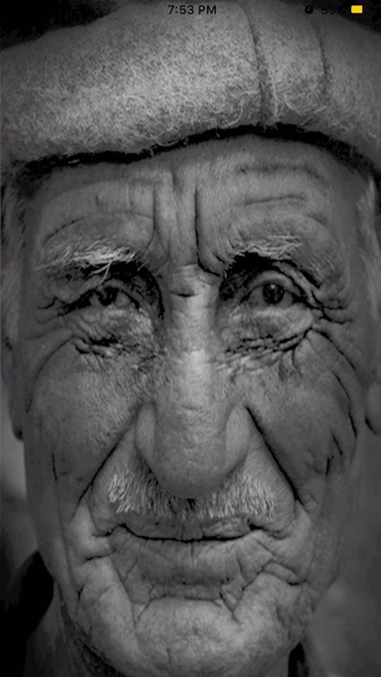 كل يوم حكمة