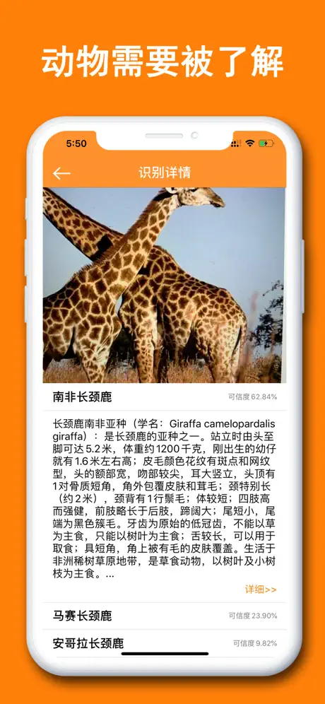 动物识别器-智能识别动物百科大全