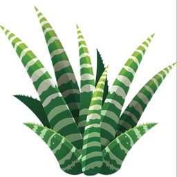 Succulents Addiction