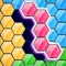 Hexa Puzzle King is a jigsaw style puzzle game with an addictive block puzzle gameplay