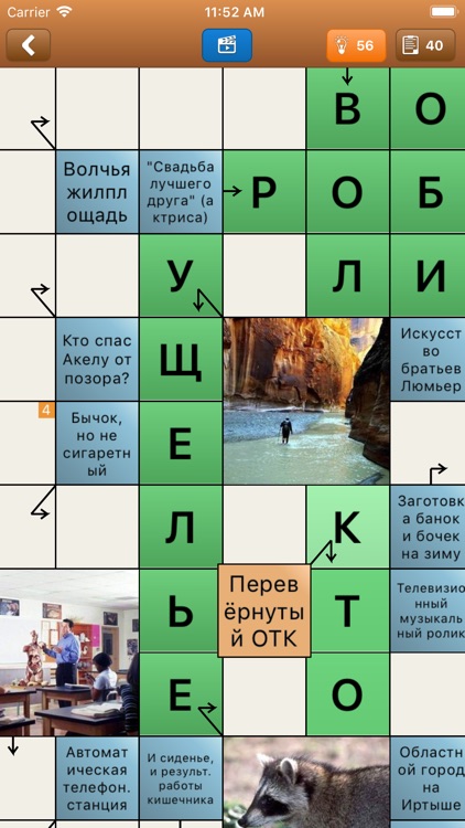 Сканворд Мания