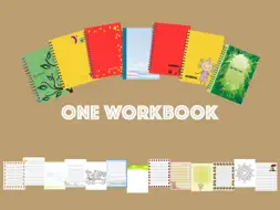 One Workbook screenshot 1