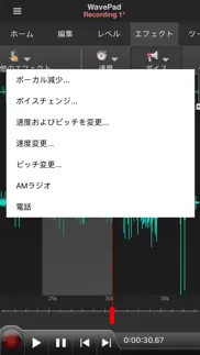 wavepad音声編集ソフト problems & solutions and troubleshooting guide - 3