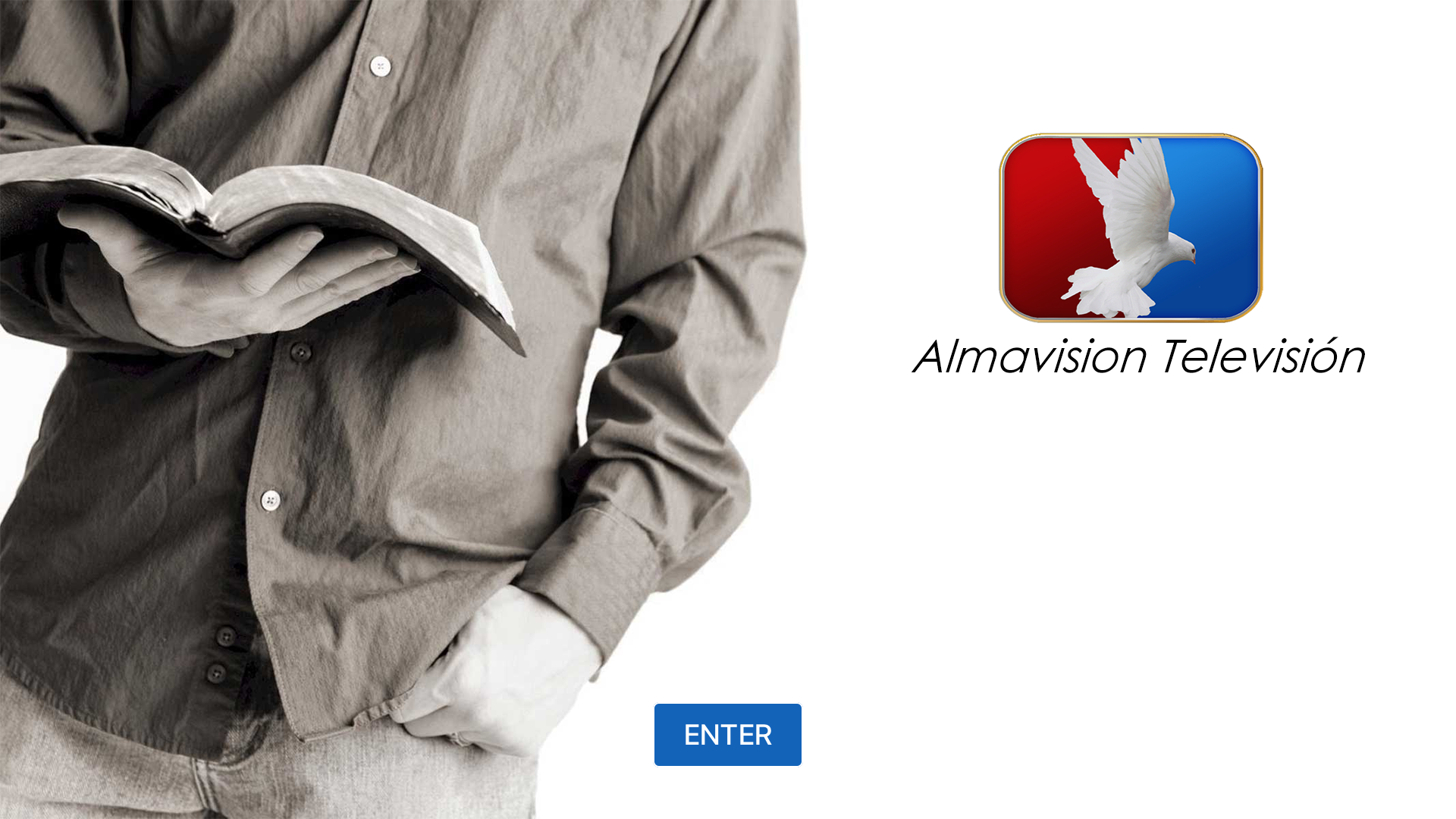 Almavision