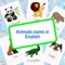 List of animal names with animal pictures in English