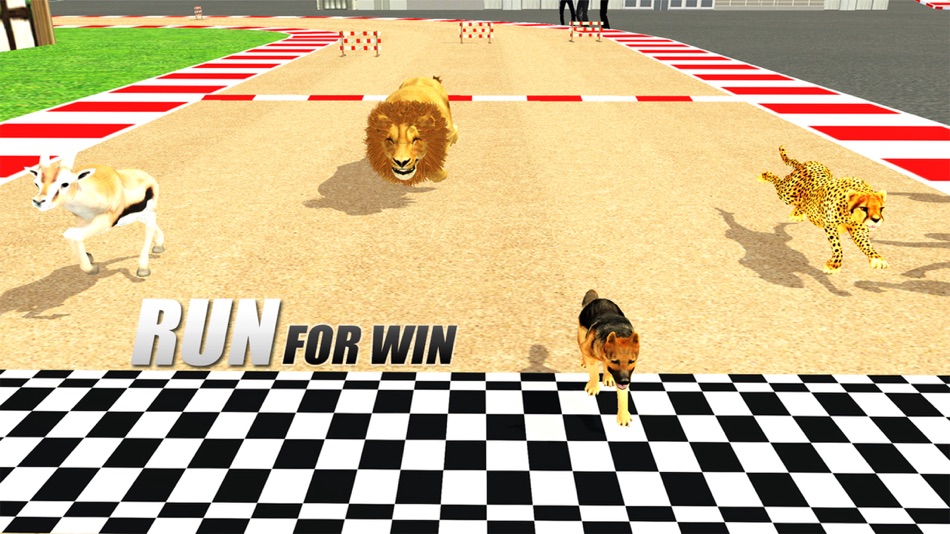 Crazy Wild Animal Racing Game - 1.4 - (iOS)