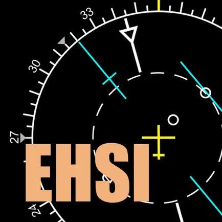 EHSI trainer Читы