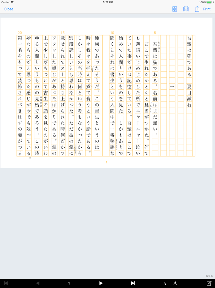 iPRINT - Text Printing