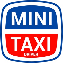 Mini Taxi Driver